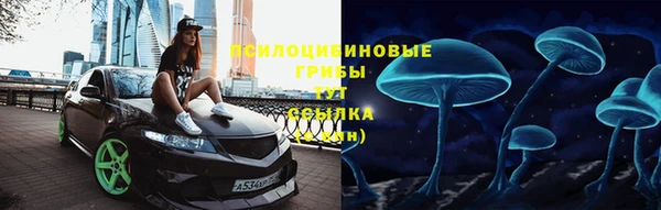 Альфа ПВП Костерёво
