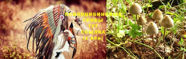 марки nbome Коряжма