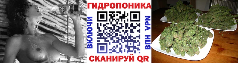 Бошки Шишки конопля  наркота  blacksprut рабочий сайт  Каменногорск 